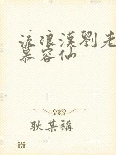 流浪汉刘老汉和慕容仙封面