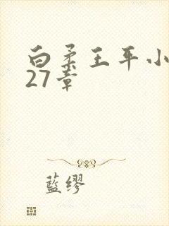白柔王平小说第27章