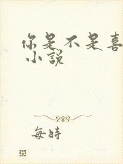 你是不是喜欢我 小说