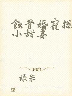 蚀骨婚宠总裁的小甜妻封面