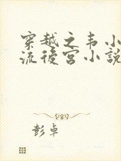 穿越之韦小宝风流后宫小说