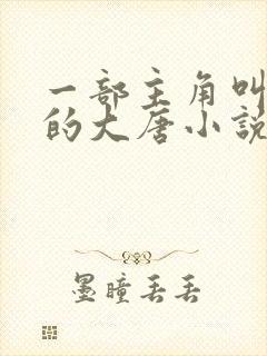 一部主角叫林凡的大唐小说