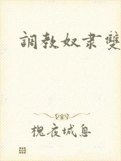 调教奴隶双性
