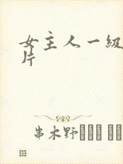 女主人一级黄色片