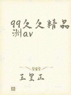 99久久精品亚洲av