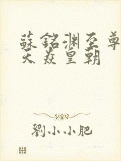 苏铭渊至尊血脉天焱皇朝