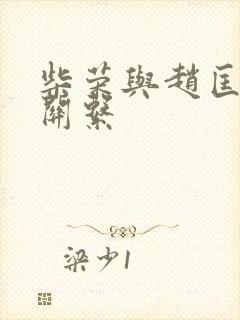 柴荣与赵匡胤的关系