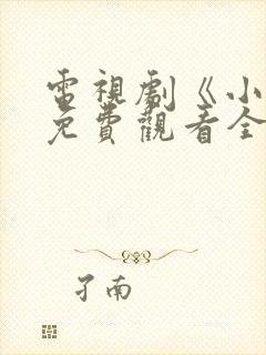 电视剧《小舅》免费观看全集封面