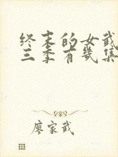 终末的女武神第三季有几集