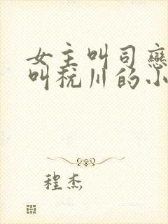 女主叫司恋男主叫杭川的小说名字
