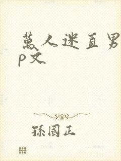 万人迷直男受np文