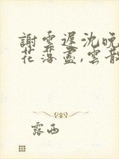 谢云迟沈晚梨梨花落尽,云散夜未明封面