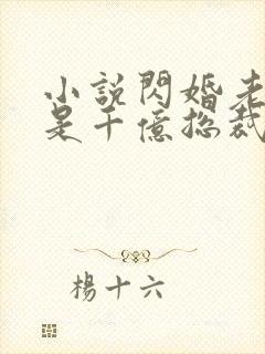 小说闪婚老公竟是千亿总裁全文