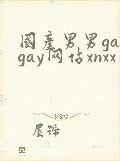 国产男男gaygay网站xnxx