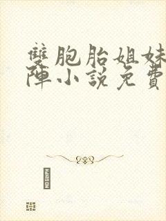 双胞胎姐妹齐上阵小说免费阅读封面