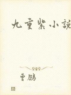 九重紫小说