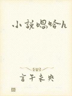 小说嗯哈h