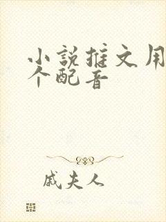 小说推文用的哪个配音