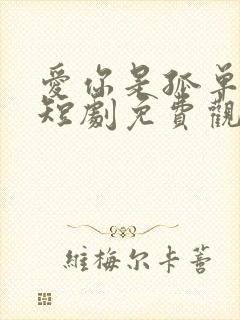 爱你是孤单心事短剧免费观看高清