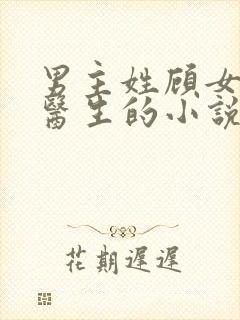 男主姓顾女主是医生的小说