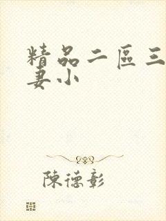 精品二区三区人妻小
