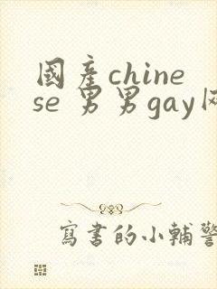 国产chinese 男男gay网站