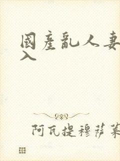 国产乱人妻精品入