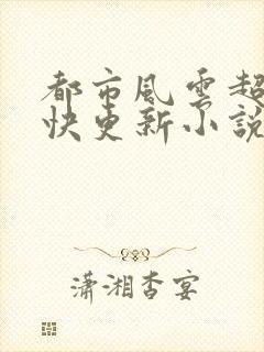 都市风云超前超快更新小说