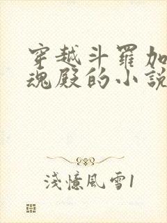 穿越斗罗加入武魂殿的小说