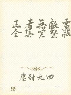 正者无敌电视剧全集完整版免费观看封面