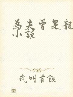 为夫曾是龙傲天小说