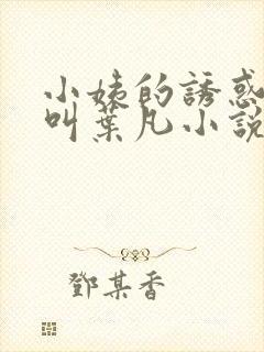 小姨的诱惑主角叫叶凡小说