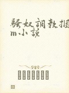 骚奴调教捆绑sm小说封面