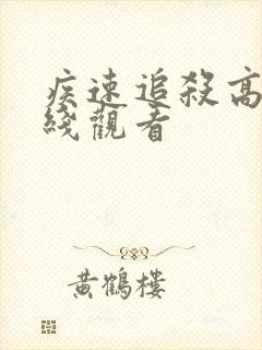 疾速追杀高清在线观看