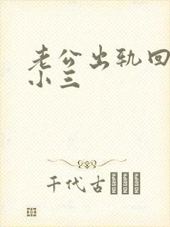 老公出轨回归后小三封面