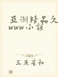 亚洲精品久久久www小说