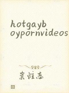 hotgayboypornvideos
