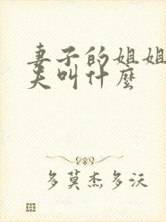 妻子的姐姐的丈夫叫什么