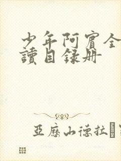 少年阿宾全文阅读目录册封面