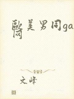 欧美男同gay网