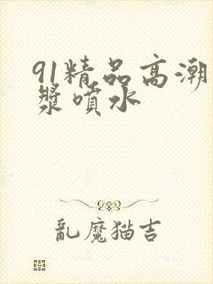 91精品高潮白浆喷水