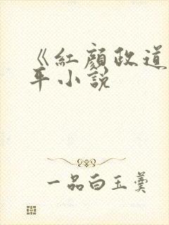 《红颜政道》周平小说封面