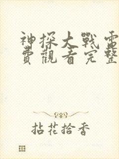 神探大战电影免费观看完整版国语