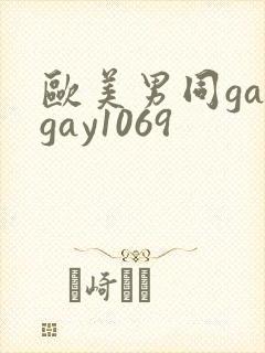 欧美男同gaygay1069封面