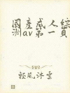 国产成人综合亚洲av第一页