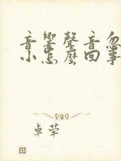 音响声音忽大忽小怎么回事