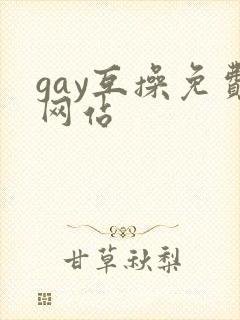 gay互操免费网站
