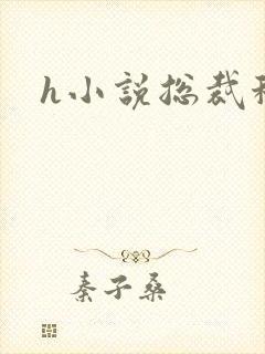 h小说总裁秘书