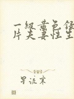 一级黄色录像影片夫妻性生活影片