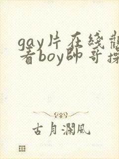 gay片在线观看boy帅哥操